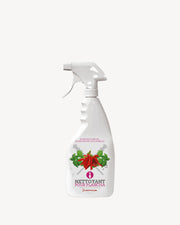 Spray nettoyant pour grille en inox