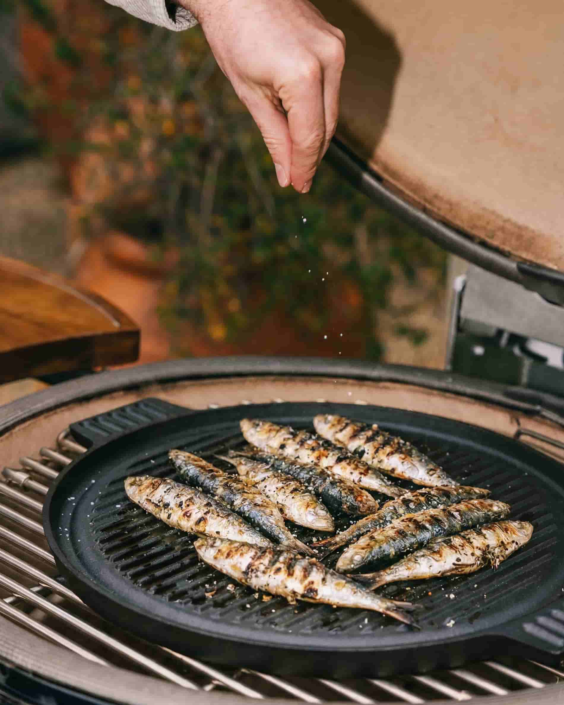 HAWOK Gusseiserne Grillplatte – 24,1 Cm Rund, Vorbehandelt, Für Herd, Grill & Lagerfeuer