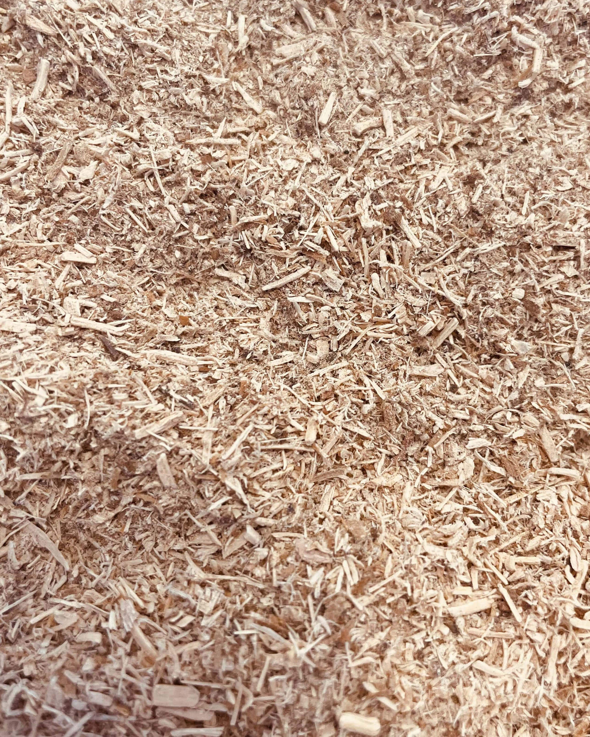 Sciure de bois pour fumage à froid