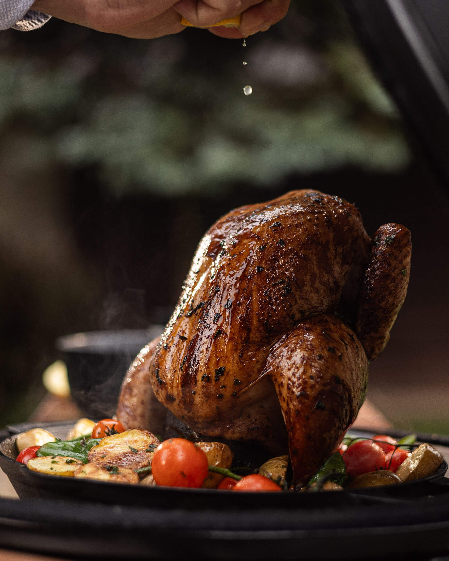 Support cuisson volaille fonte avec poulet