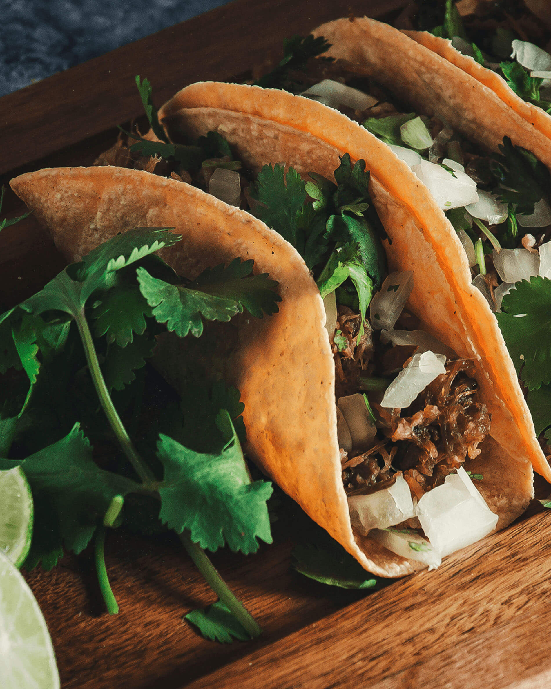 Tacos sur support à tacos en inox