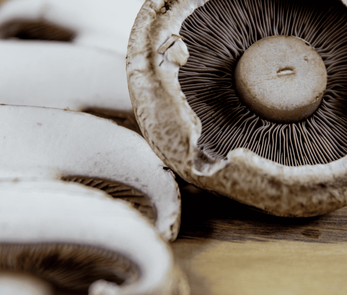 Portobello-Pilze