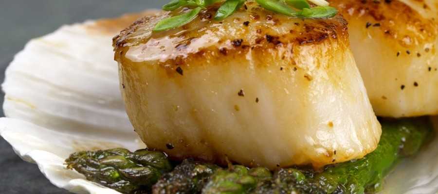 Scallops on a bed of asparagus confit